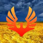 благотворительная организация во Львове