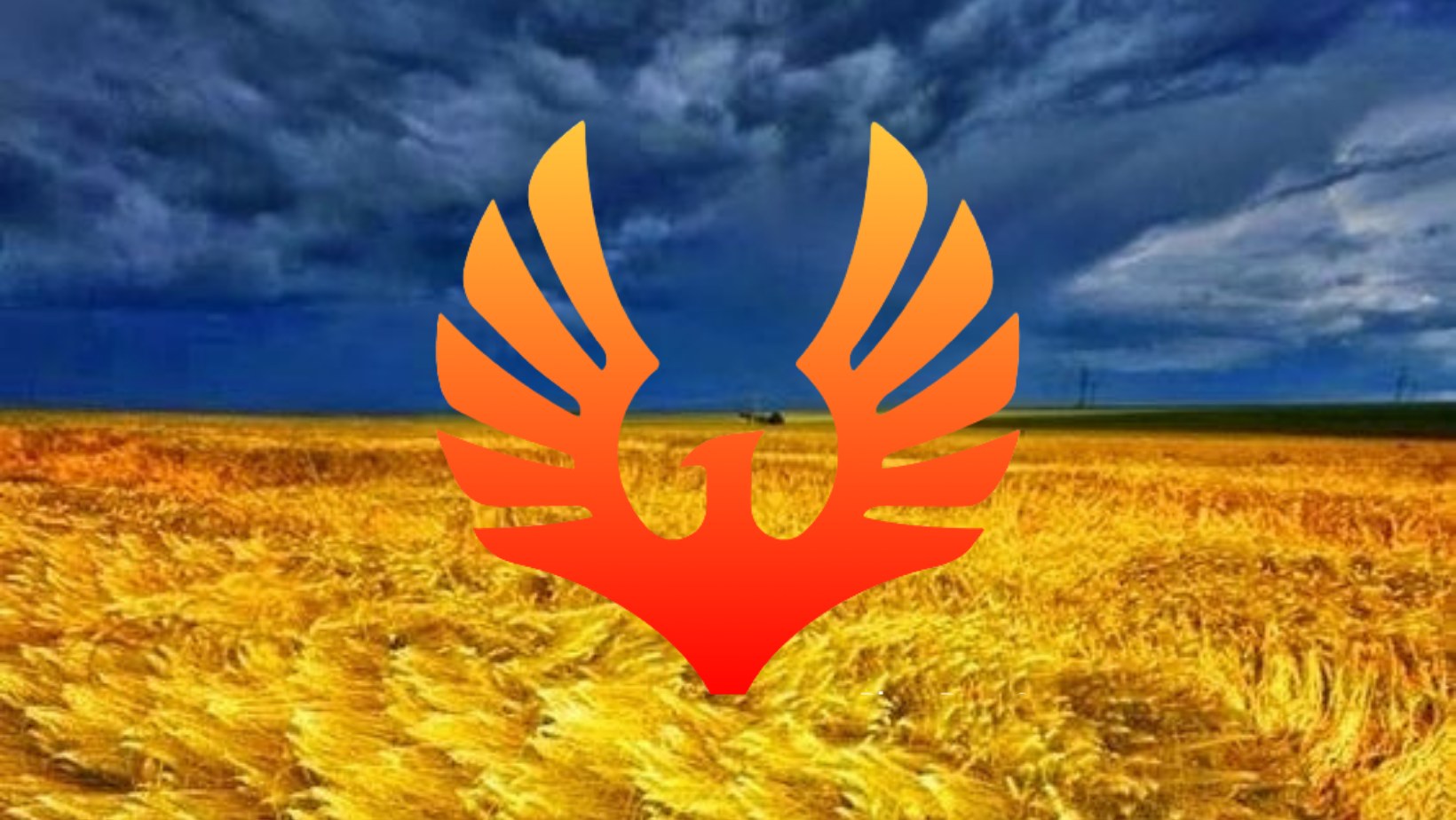 благотворительная организация во Львове