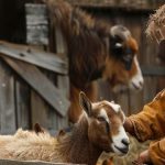 portrait-viking-children-s-day-day-life