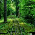 Стрийський парк у Львові
