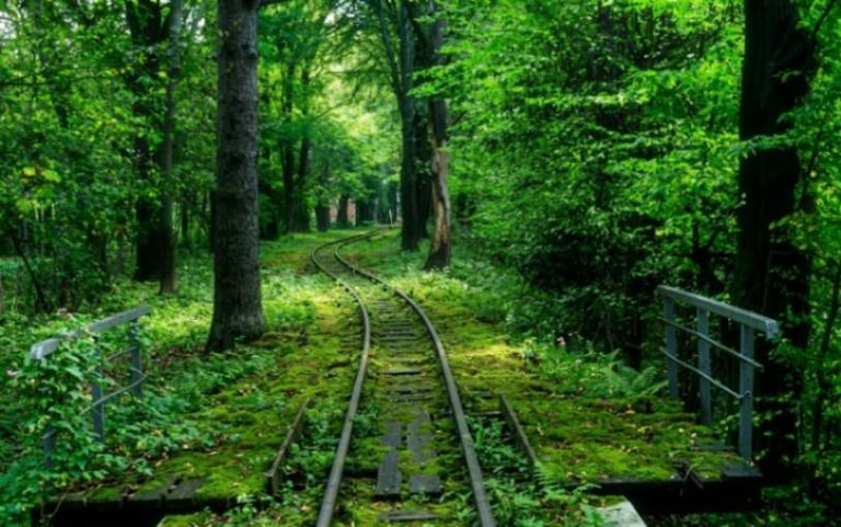 Стрийський парк у Львові
