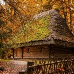 Шевченківський гай у Львові